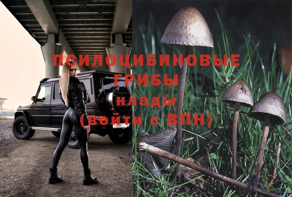 бутират Баксан
