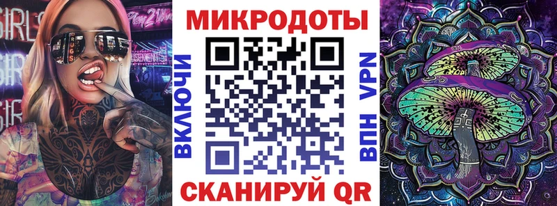 где найти   Порхов  Галлюциногенные грибы Psilocybe 